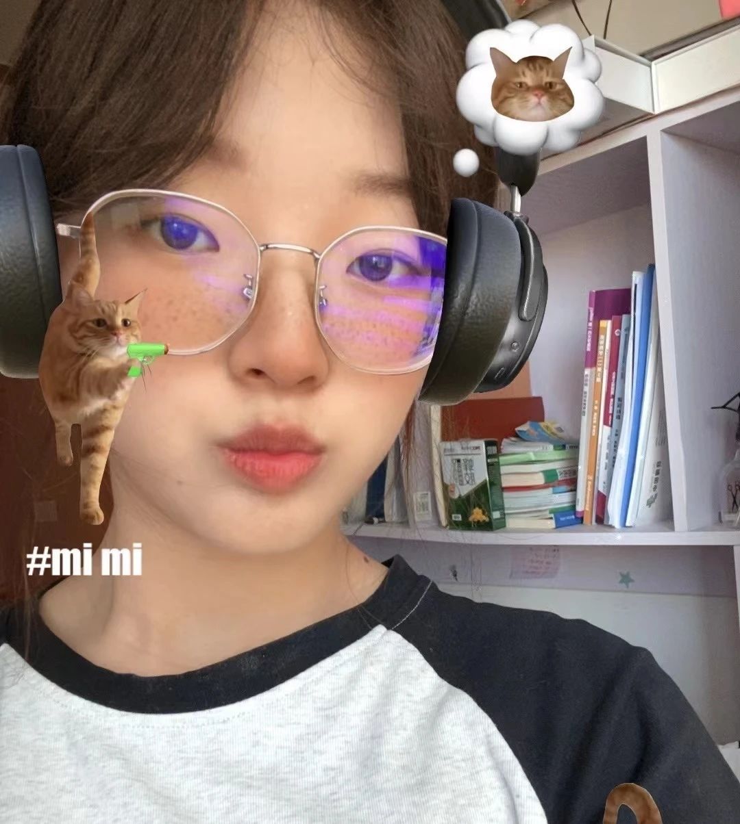 24041